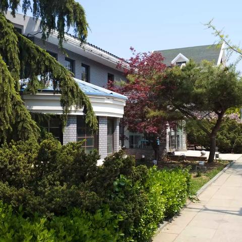 大连市儿童医院哪个b超大夫好