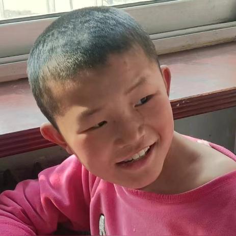 石家庄市救助站在哪个区