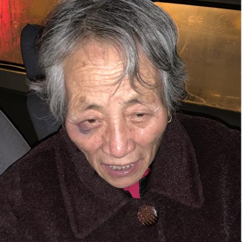西安流浪猫救助站相关长尾关键词有哪些