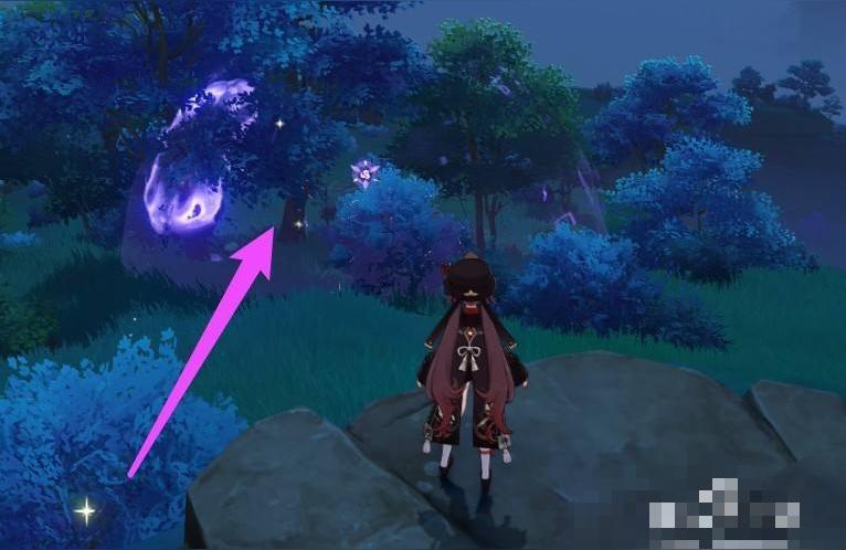 原神雷种子怎么飞得更高(原神开大炮任务)