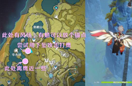 原神应该怎么抓到怪鸟（原神的鸟怎么得）