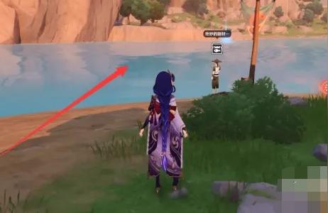 花鳉鱼怎么钓原神（苦泡鲀吃啥）