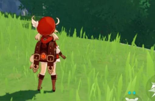 原神怎么快速得慕容蘑菇（原神中长在地上的蘑菇哪里最多）