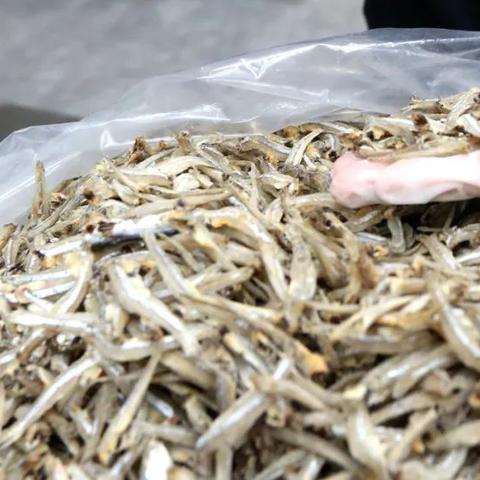 长沙市渔业路属于哪个区