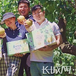 石家庄市新农人生活的长尾关键词有哪些