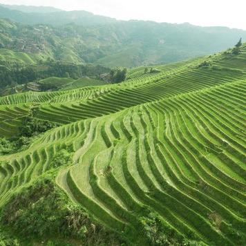 桂林订船票相关长尾关键词有哪些