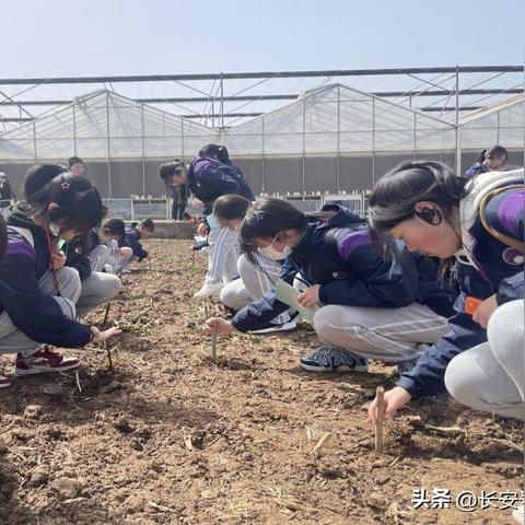 杨凌为什么显示的西安市