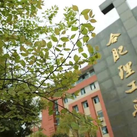 合肥市哪个大学好