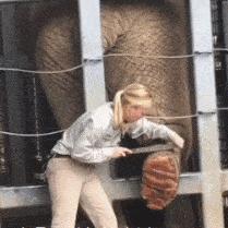 足浴男技师都做什么的长尾关键词是什么