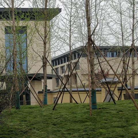 西安市香积寺发展前景怎么样