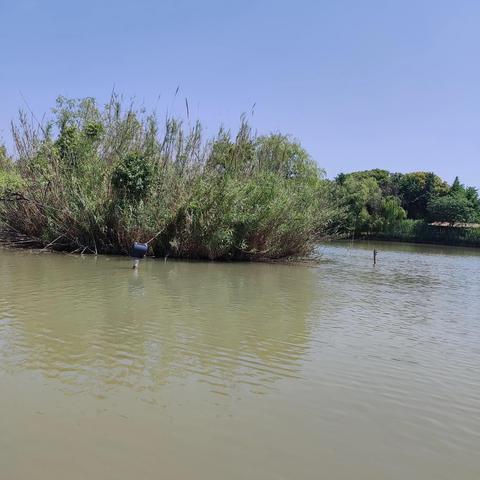 苏州常熟市有什么特产的长尾关键词有哪些