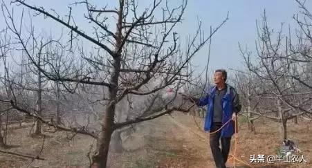 春季备孕有哪些注意事项 春季备孕有哪些注意事项