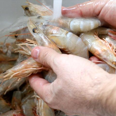 济南大虾酥点心制作相关长尾关键词有哪些