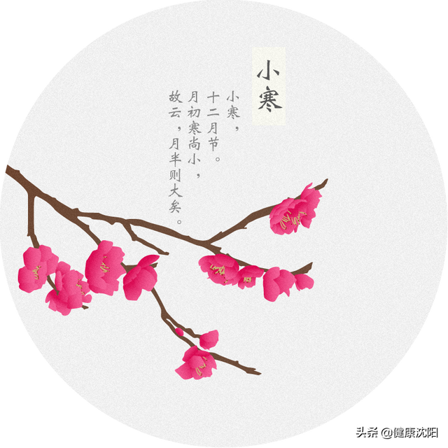 今日小寒节气唯美句子带图片