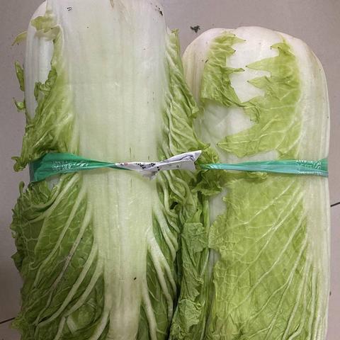 【天津今日菜价】2025年7月28日天津菜价是多少