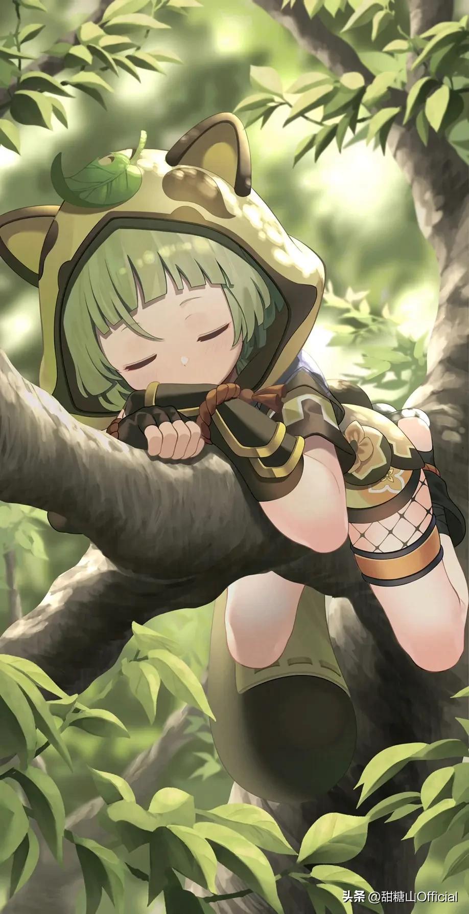 原神早柚邀约任务怎么开（新手原神早柚突破材料怎么得）