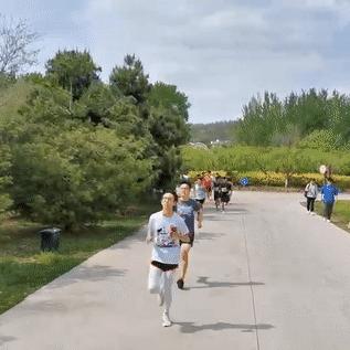 沈阳城市学院录取分数线相关长尾关键词有哪些