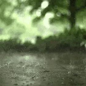 6月29日天气预报的长尾关键词有哪些