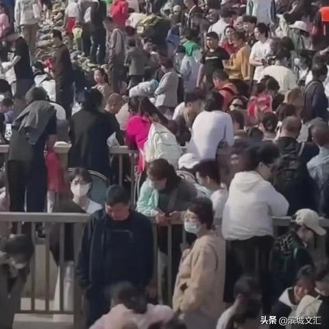 天津东疆港怎么样