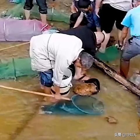 桂林市哪里可以捞鱼