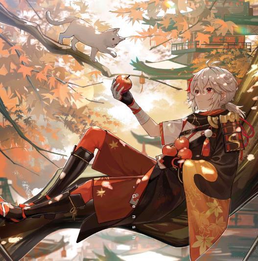 原神抽钟离怎么抽才能中（原神甘雨没有钟离怎么配队）