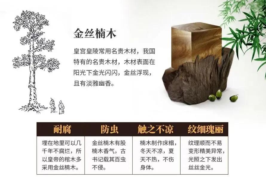 金丝楠苗多少钱一棵,金丝楠木和小叶楠木的区别?