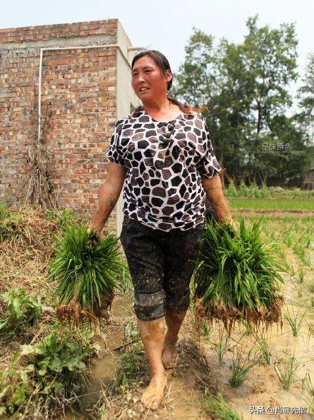 不顾父母反对，女高中生嫁到安徽农村21年，如今创业成功年入90万