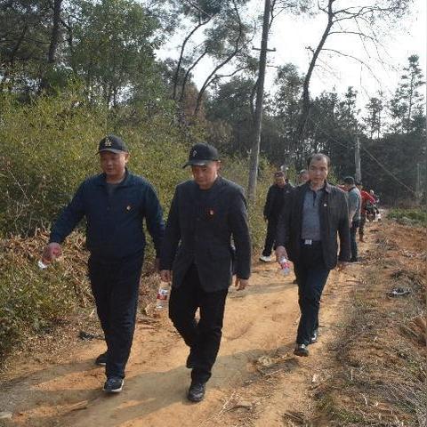 葛根桂林膏相关长尾关键词有哪些