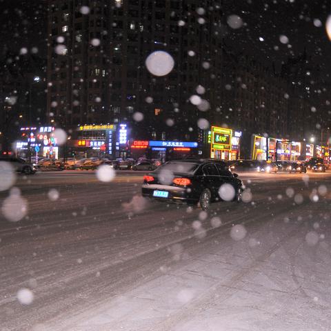 哈尔滨哪个季节容易下雪？