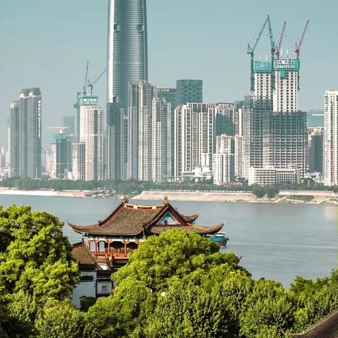 武汉市和南京哪个城市大
