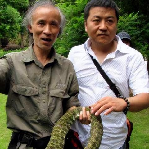 福建烙铁蛇的相关长尾关键词有哪些
