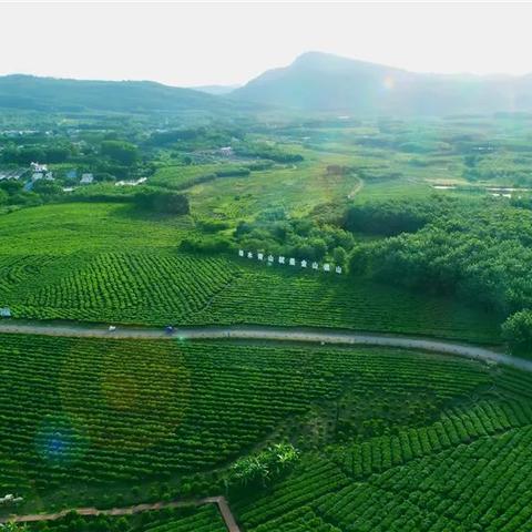 广东省佛山市南海区白沙的长尾关键词有哪些