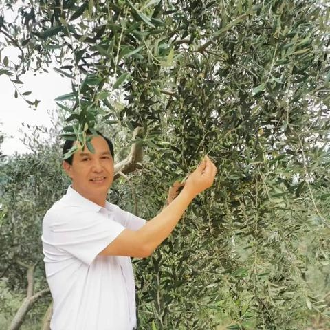 南宁南国花园商城为什么便宜？