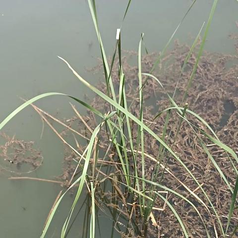 西安野钓群的相关长尾关键词有哪些