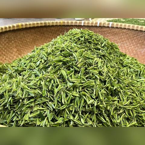 杭州新茶女的相关长尾关键词有哪些