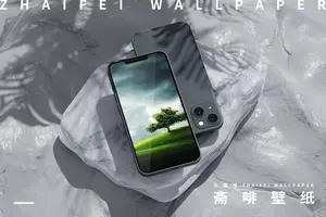 叶子小清新壁纸森系 头条搜索