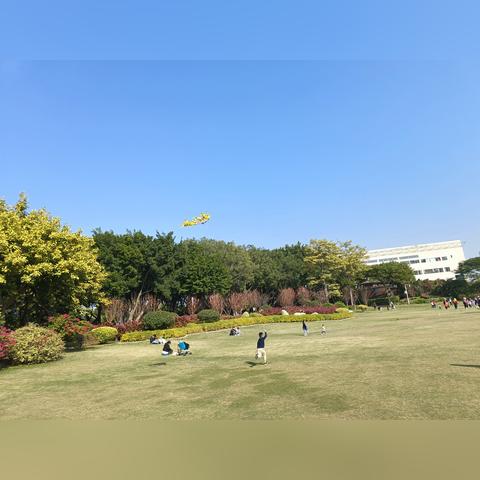 白鹭厦门市鸟什么特色