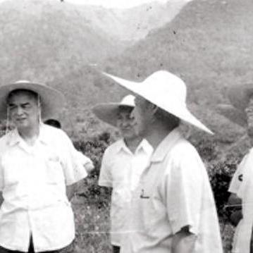 厦门大胆鸭的相关长尾关键词有哪些