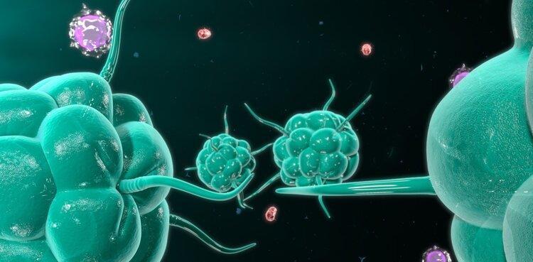 【非典是哪一年发生的
 ,非典是哪一年发生的2003年几月】