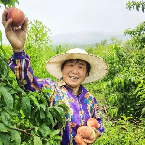 济南夏天游玩的好地方相关长尾关键词有哪些