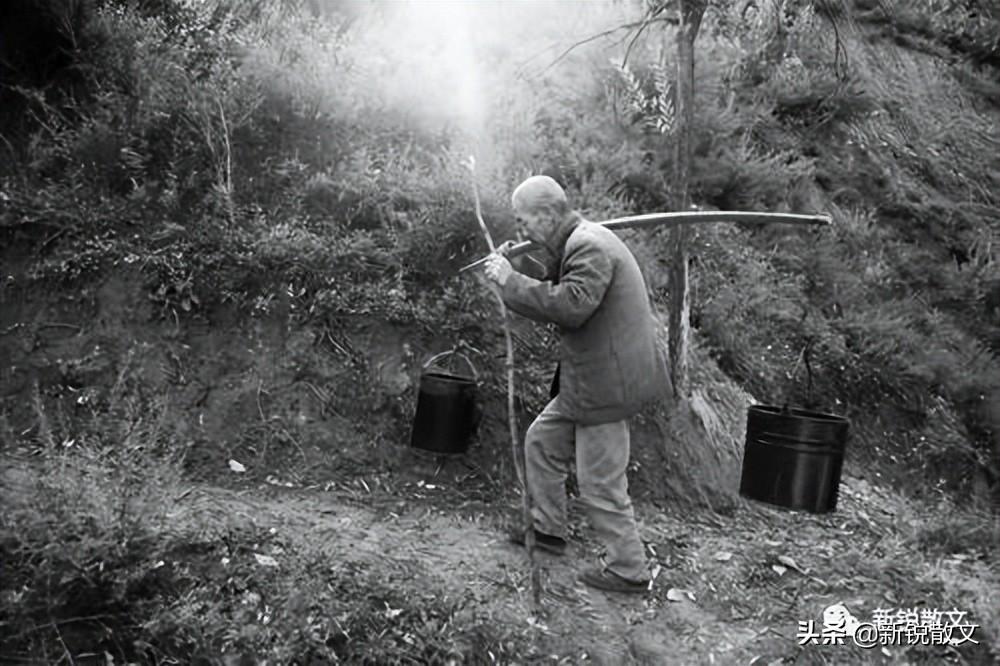 梦见自己扫地是什么意思