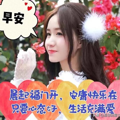 【英雄联盟美女,英雄联盟美女动画】