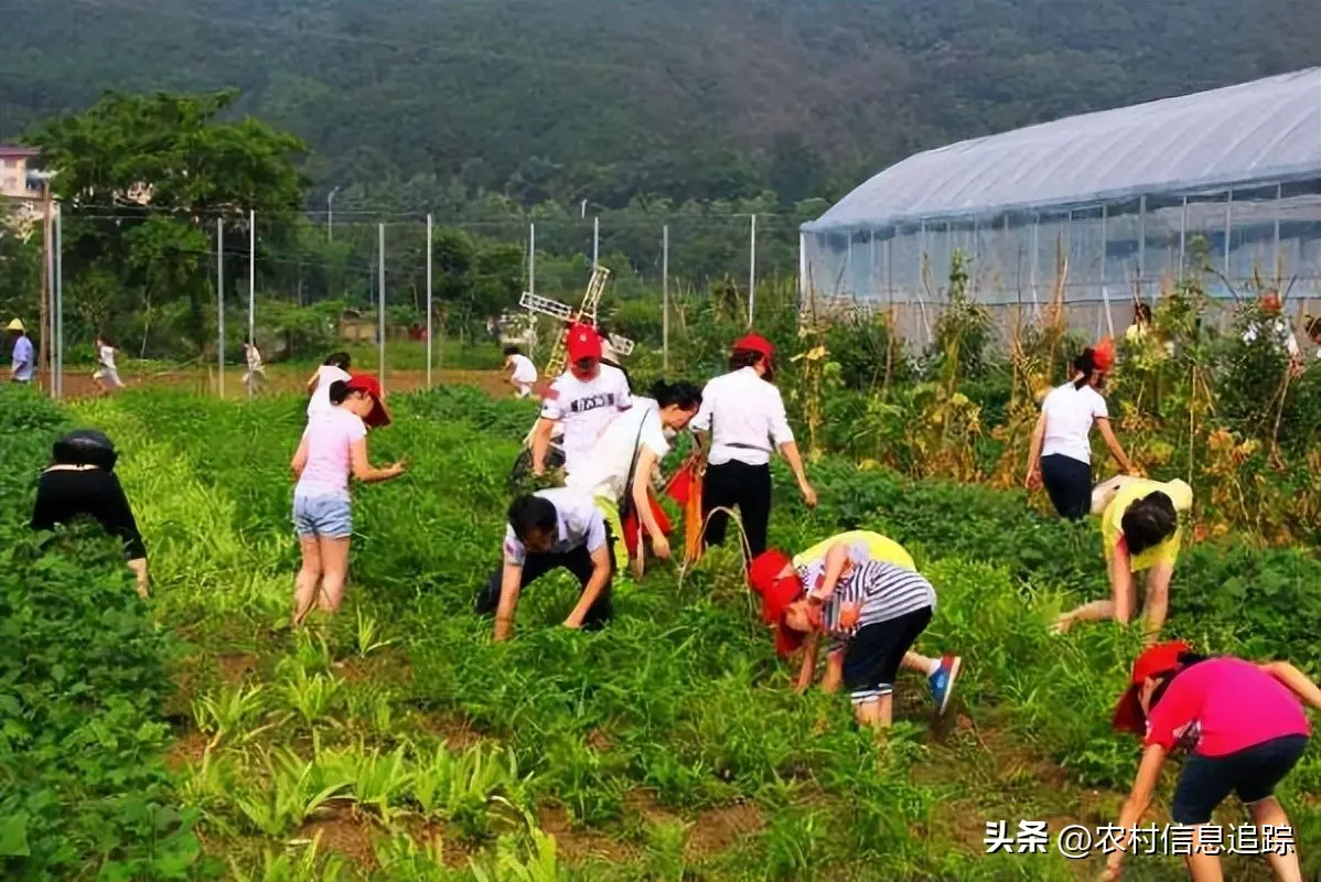 还有什么副业比较赚钱的 当下还有什么赚钱的副业