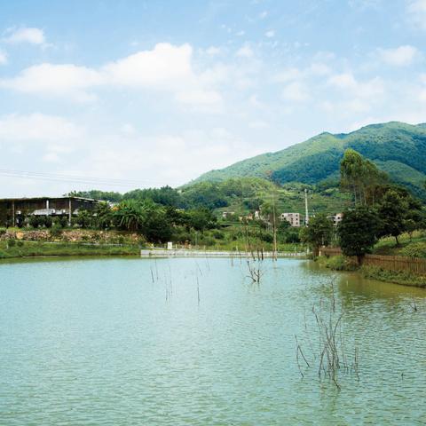 厦门市区有多少个镇