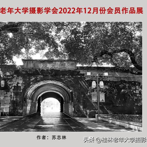 桂林市老年公寓相关长尾关键词有哪些