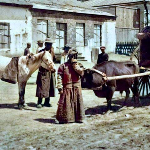 沈阳就业失业登记证怎么办理？