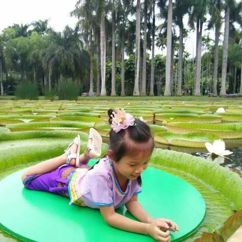 迷你世界迷你世界（迷你世界的奇幻之旅）