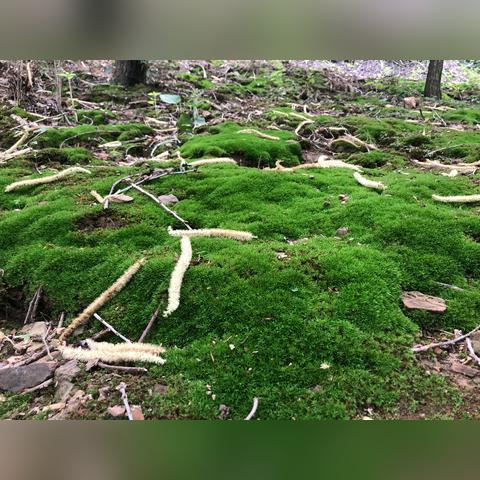 2025.11.13天津今天空气质量指数怎么样