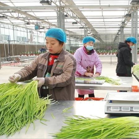 长春市汽车区在售楼盘的长尾关键词有什么