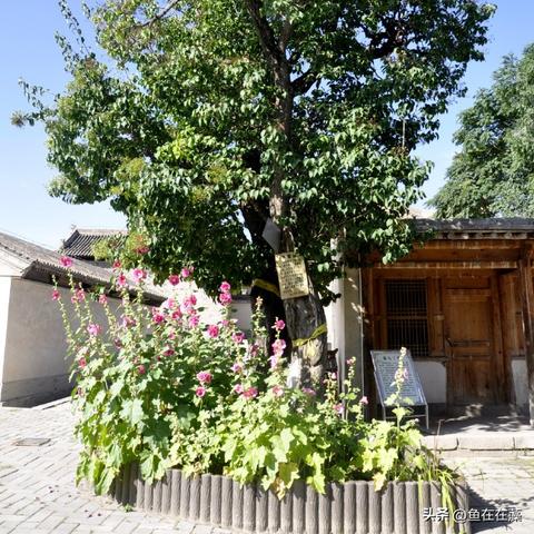 兰州新区走永登连城多少公里？